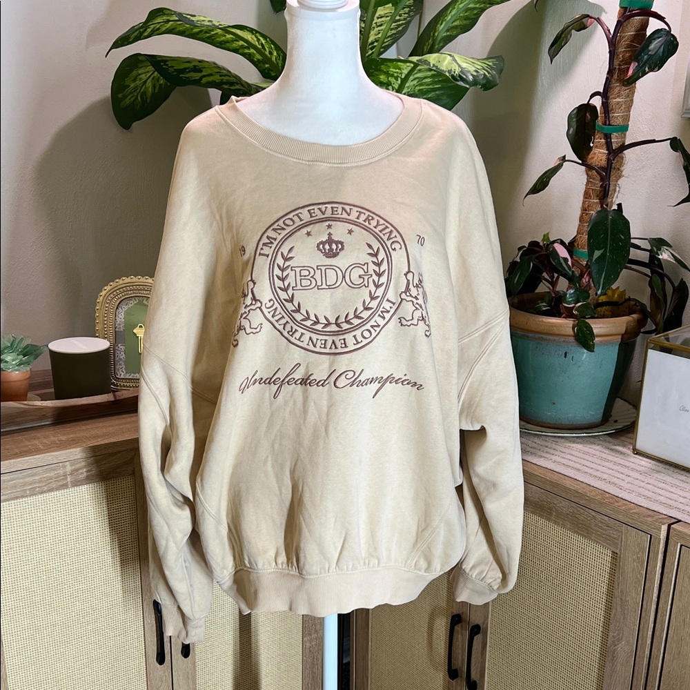 Urban Outfitters BDG Beige Graphic Sweater